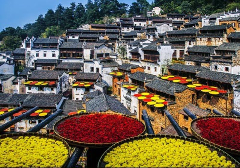 探索未知的旅程：从探险家旅行社出发